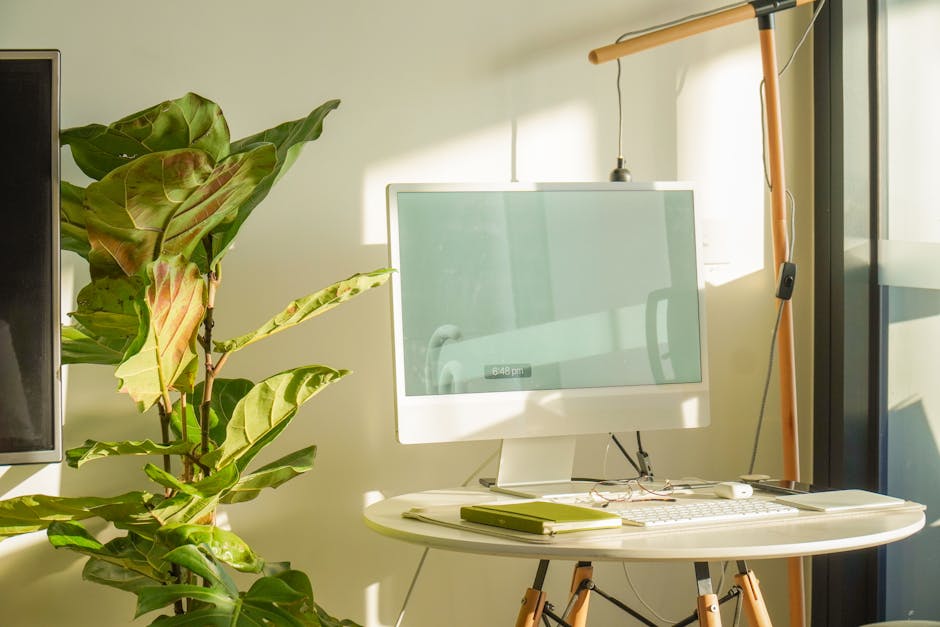 A sunlit modern workspace featuring a computer monitor, potted plant, and stylish desk.